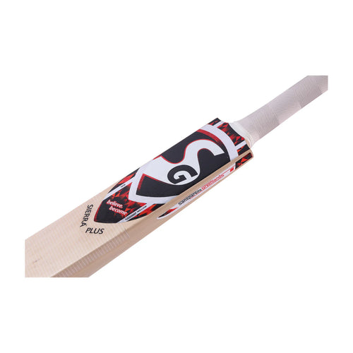 SG Sierra Plus Kashmir Willow Cricket Bat 