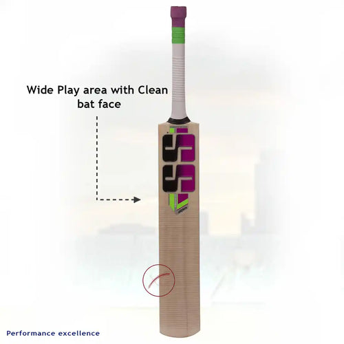 SS Josh Kashmir Willow Cricket Bat