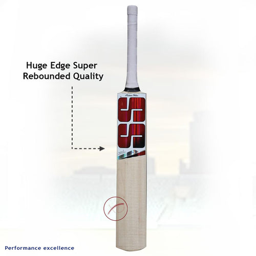 SS Master Kashmir Willow Cricket Bat