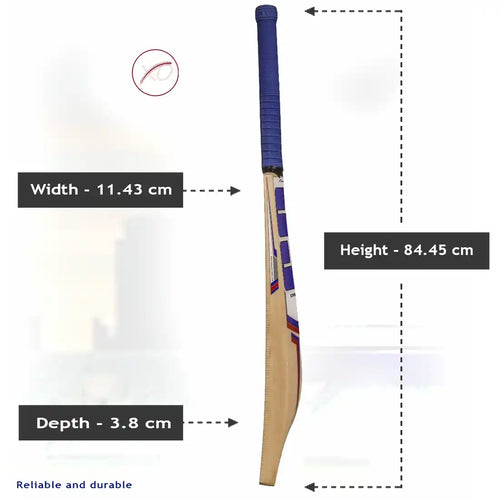 SS SKY Flicker Kashmir Willow Cricket Bat-SH