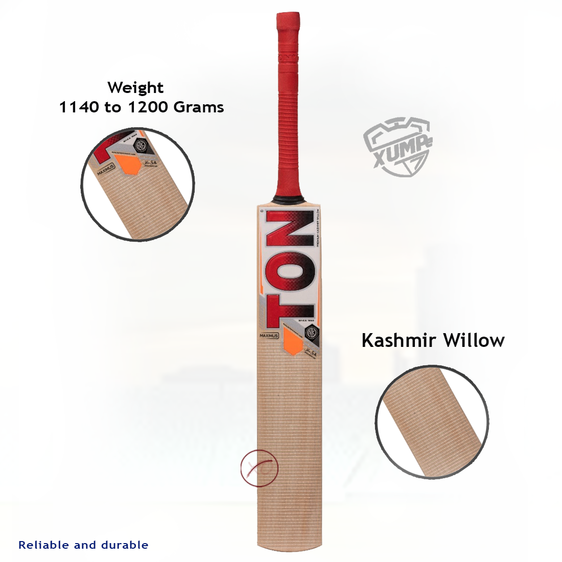 Ton Maximus Kashmir Willow Cricket Bat 